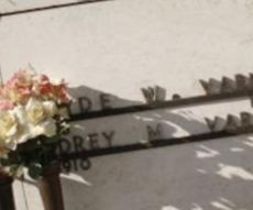 Audrey M. Varner Audrey M. Varner