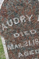 Audry D Feagler