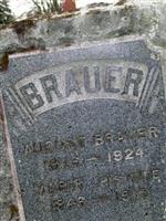 August Brauer