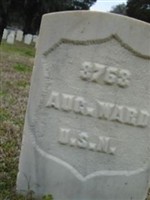 Augustin Ward