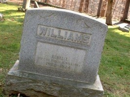 Aurel L Williams Aurel L Williams