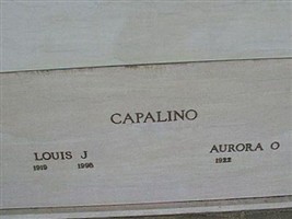 Aurora O Capalino
