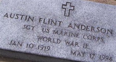 Austin Flint Anderson, Jr Austin Flint Anderson, Jr