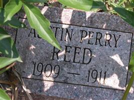 Austin Perry Reed