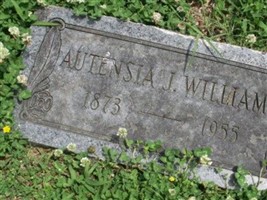 Autensia J Williams Autensia J Williams