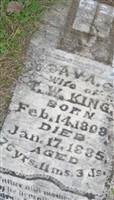 Ava G King