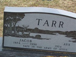 Ava Tarr