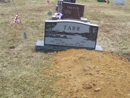 Ava Tarr