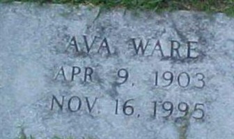 Ava Ware