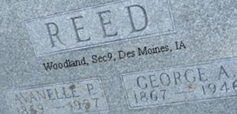 Avanelle P Reed