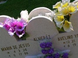 Avelino Yanez Almeraz