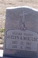 Avelyn A. Mikulec Avelyn A. Mikulec