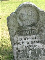 Avis Barnnet