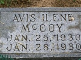 Avis Ilene McCoy