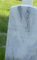 Avis J Watson