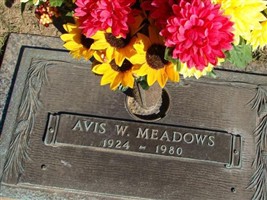 Avis W. Meadows