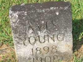Avis Young
