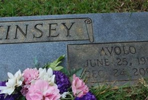 Avolo Kinsey Avolo Kinsey