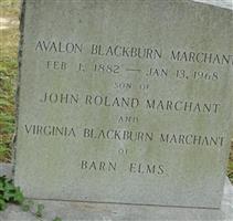 Avon Blackburn Marchant