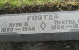 Avon Breyer Foster