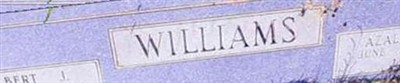 Azalea C Williams
