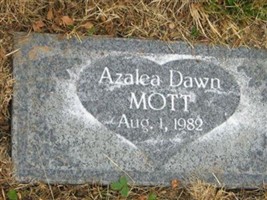 Azalea Dawn Mott Azalea Dawn Mott