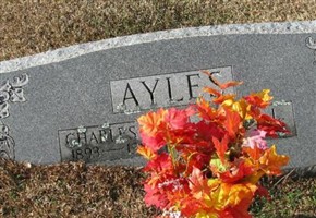 Azalee L. Ayles
