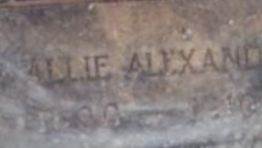 B Allie Alexander B Allie Alexander