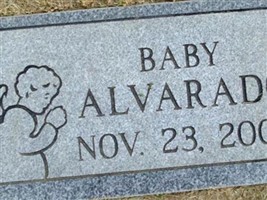 Baby Alvarado