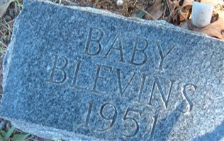 Baby Blevins