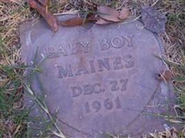 baby boy Maines