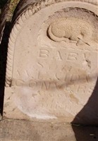 Baby Charles Converse