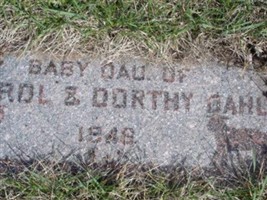 Baby Dau Dahl