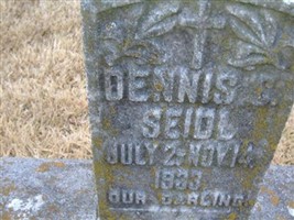 Baby Dennis C Seidl Baby Dennis C Seidl