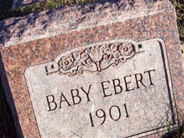 Baby Ebert