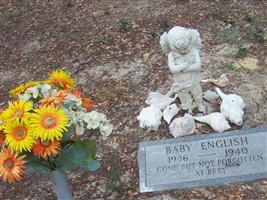 Baby English