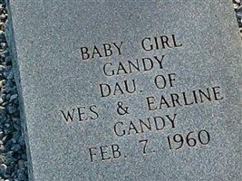 Baby Girl Gandy