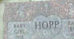 Baby Girl Hopp