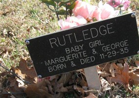 Baby Girl Rutledge