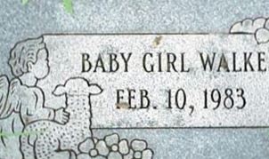 Baby Girl Walker Baby Girl Walker