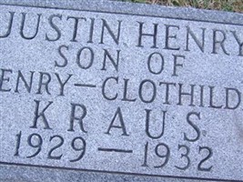Baby Justin Henry Kraus Baby Justin Henry Kraus