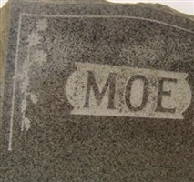 Baby Moe Baby Moe