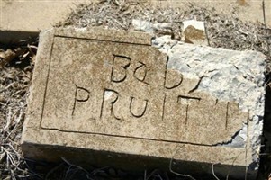 Baby Pruitt