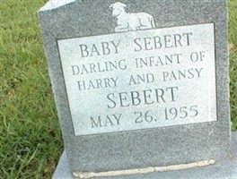 Baby Sebert Baby Sebert
