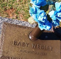 Baby Webley (1869728.jpg) Baby Webley (1869728.jpg)