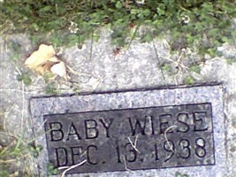 Baby Wiese