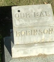 Bae Robinson Bae Robinson