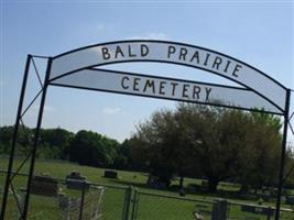 Bald Prairie Cemetery