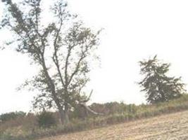 Ballard Cemetery (Iowa Township)