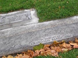 Bandy Alvis